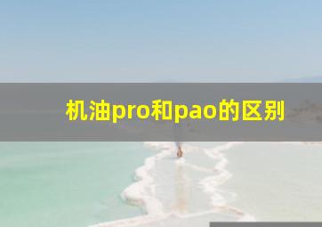 机油pro和pao的区别