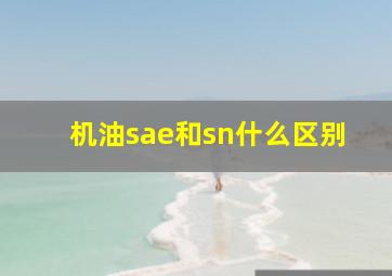 机油sae和sn什么区别