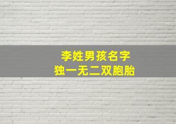 李姓男孩名字独一无二双胞胎