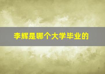 李辉是哪个大学毕业的