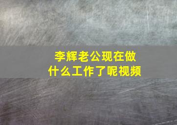 李辉老公现在做什么工作了呢视频