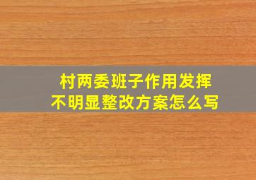 村两委班子作用发挥不明显整改方案怎么写