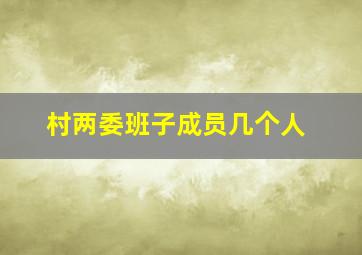 村两委班子成员几个人