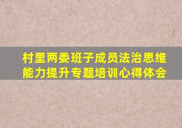 村里两委班子成员法治思维能力提升专题培训心得体会