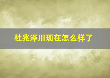 杜兆泽川现在怎么样了