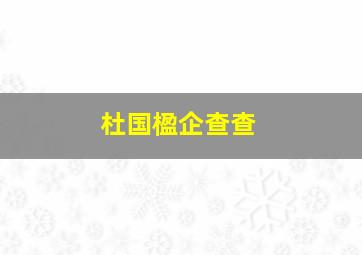 杜国楹企查查