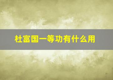 杜富国一等功有什么用