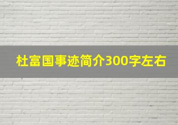 杜富国事迹简介300字左右