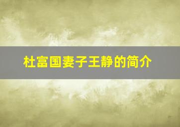 杜富国妻子王静的简介