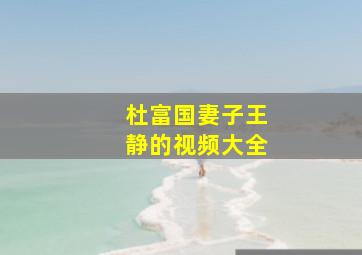 杜富国妻子王静的视频大全