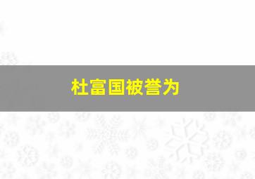 杜富国被誉为