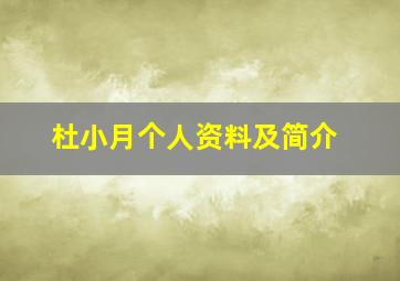 杜小月个人资料及简介