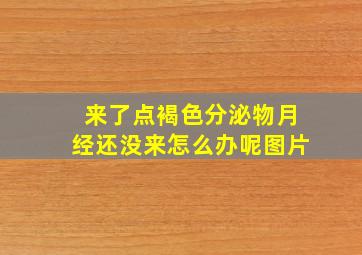 来了点褐色分泌物月经还没来怎么办呢图片