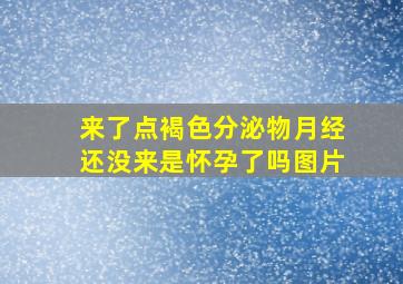 来了点褐色分泌物月经还没来是怀孕了吗图片