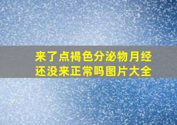 来了点褐色分泌物月经还没来正常吗图片大全