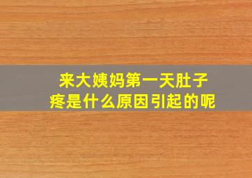 来大姨妈第一天肚子疼是什么原因引起的呢