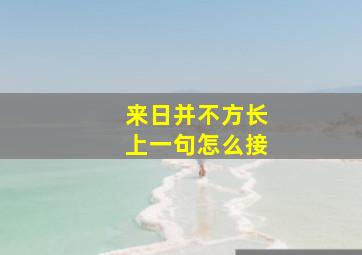 来日并不方长上一句怎么接