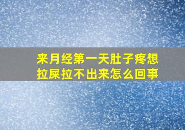 来月经第一天肚子疼想拉屎拉不出来怎么回事