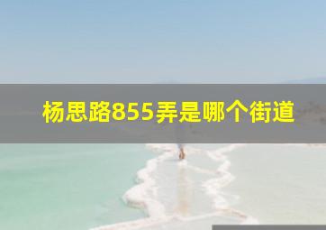 杨思路855弄是哪个街道