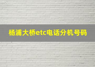 杨浦大桥etc电话分机号码