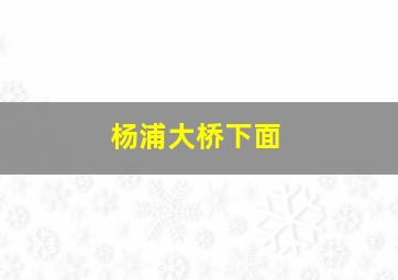 杨浦大桥下面