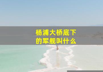 杨浦大桥底下的军舰叫什么