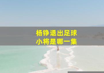 杨铮退出足球小将是哪一集