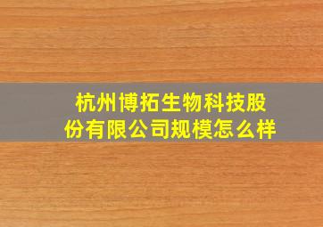 杭州博拓生物科技股份有限公司规模怎么样