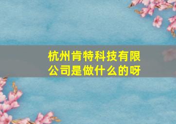 杭州肯特科技有限公司是做什么的呀