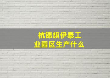 杭锦旗伊泰工业园区生产什么