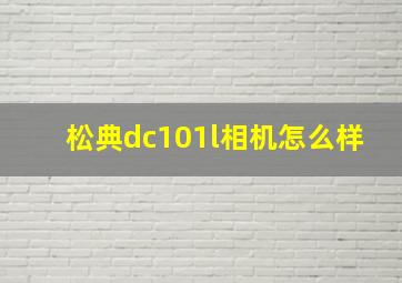 松典dc101l相机怎么样