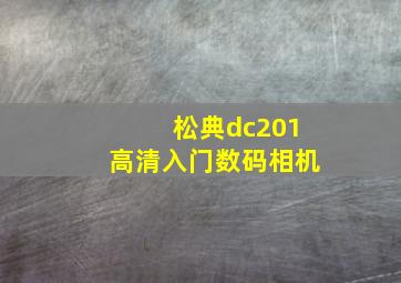 松典dc201高清入门数码相机