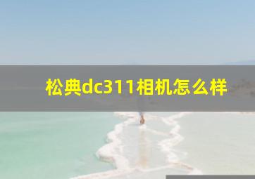 松典dc311相机怎么样