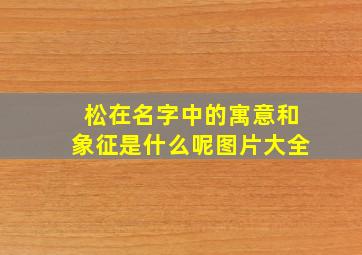 松在名字中的寓意和象征是什么呢图片大全