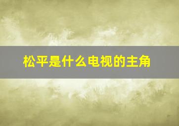 松平是什么电视的主角