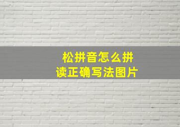 松拼音怎么拼读正确写法图片