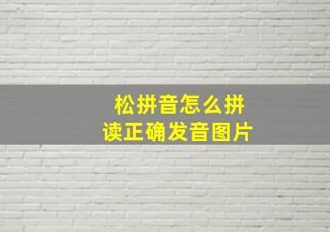 松拼音怎么拼读正确发音图片