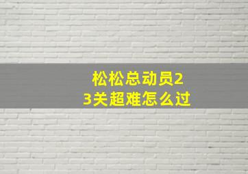 松松总动员23关超难怎么过