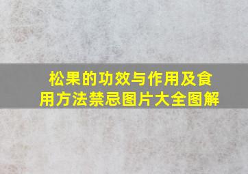 松果的功效与作用及食用方法禁忌图片大全图解