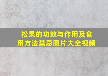 松果的功效与作用及食用方法禁忌图片大全视频