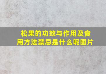 松果的功效与作用及食用方法禁忌是什么呢图片