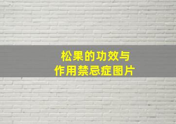 松果的功效与作用禁忌症图片