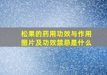 松果的药用功效与作用图片及功效禁忌是什么