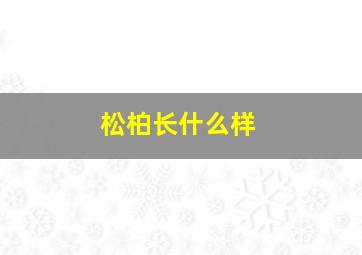 松柏长什么样