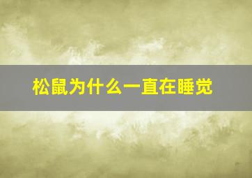 松鼠为什么一直在睡觉