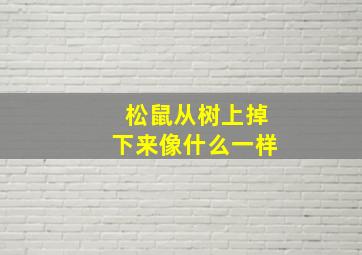 松鼠从树上掉下来像什么一样