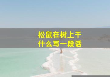 松鼠在树上干什么写一段话