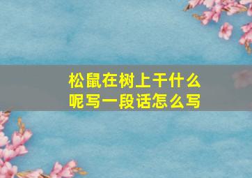 松鼠在树上干什么呢写一段话怎么写