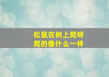 松鼠在树上爬呀爬的像什么一样