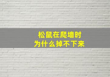 松鼠在爬墙时为什么掉不下来